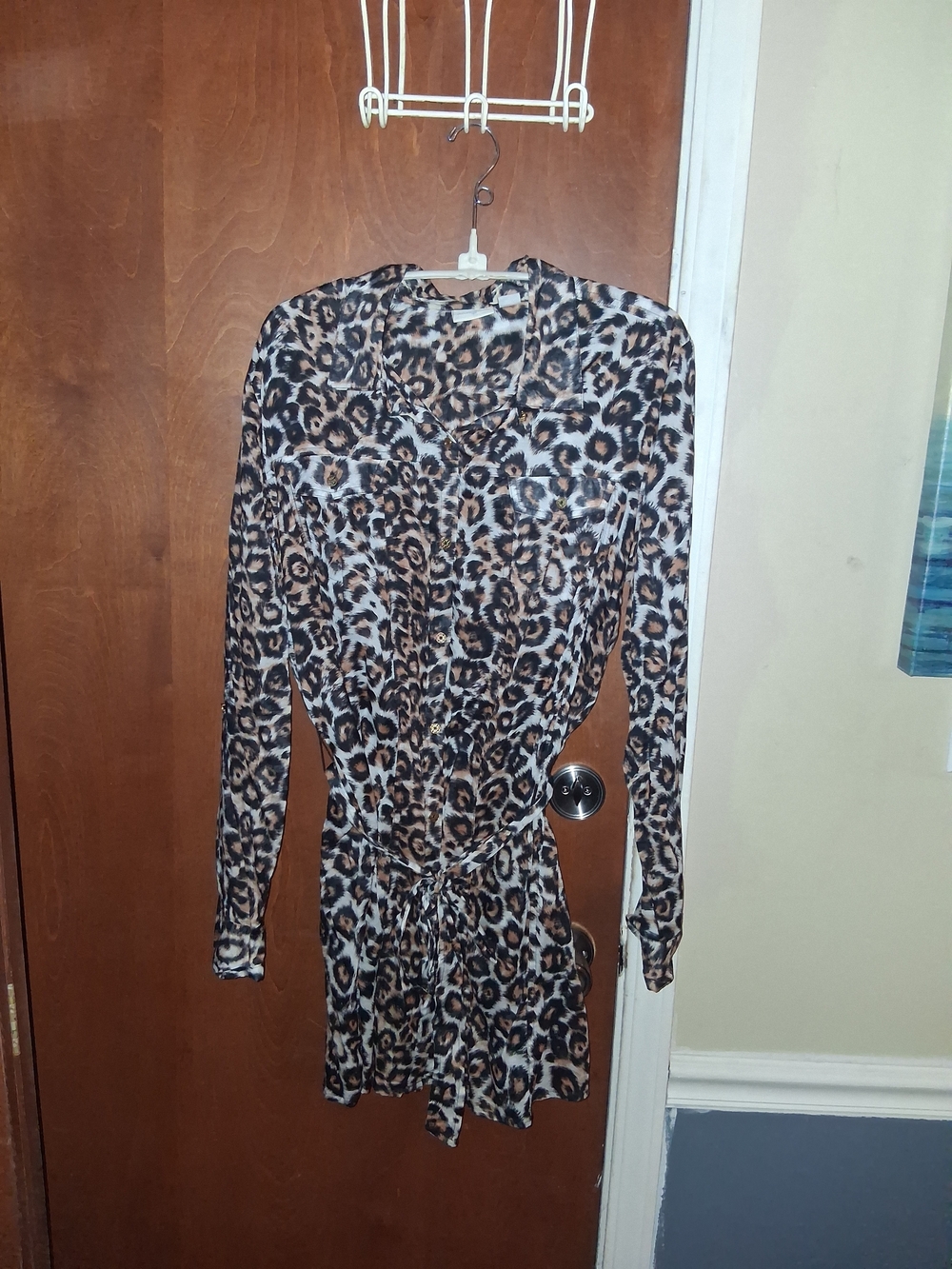 Jaclyn Smith Leopard-Print Long Sleeve Tie-Waist Dress - Brown/Black/Cream